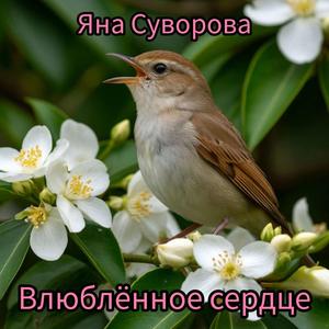 Влюблённое сердце