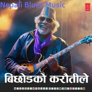 बिछोडको करौँतीले | Bichodako Karautile