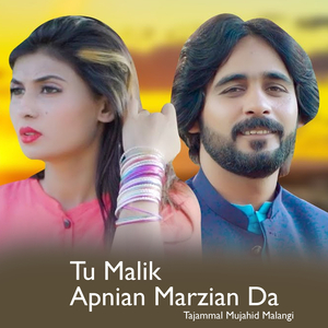 Tu Malik Apnian Marzian Da