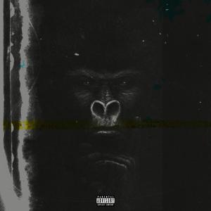 Gorillas