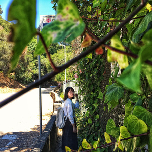 我是那样喜欢你