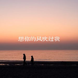 想你的风吹过我