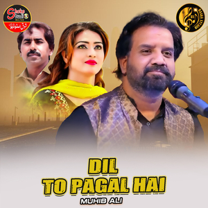 Dil To Pagal Hai (1)