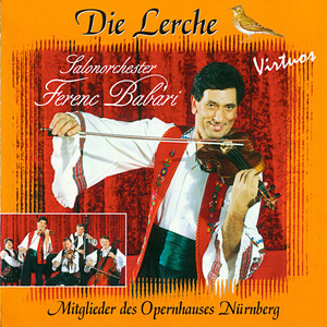 Zigeunerliebe: Lied und Csárdás