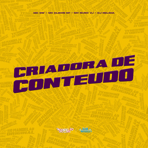 Criadora de Conteúdo