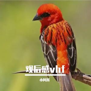 开年饭 伴奏