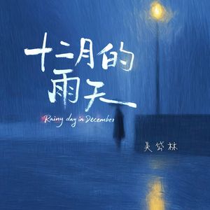 十二月的雨天