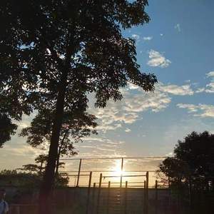 孤岛驿站 钢琴曲