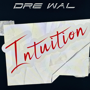 Intuition