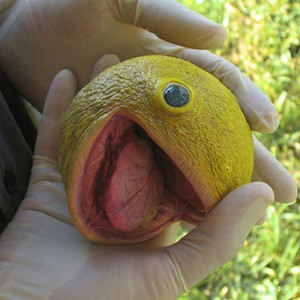 what the actual heck by me also this music is weird lol ah