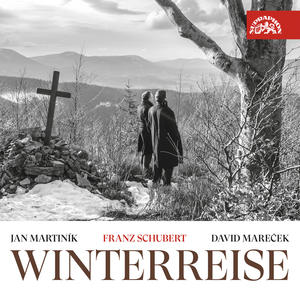 Winterreise, Op. 89, D. 911:No. 19, Deception