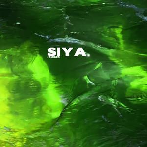 下雨了我说的不是天气