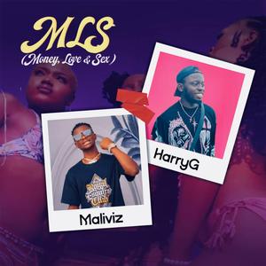 MLS (Money Love and Sex)