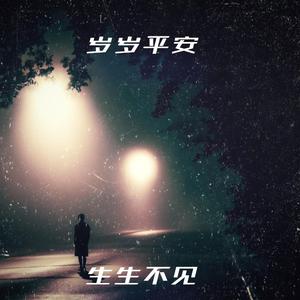 岁岁平安 生生不见