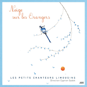 Il gèle à pierre fendre