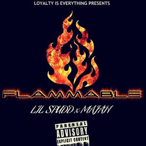 Flammable (feat. Majah)