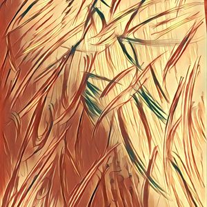 Dreaming Into Desert City