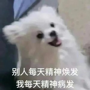 我只是临时工