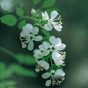 纯音乐钢琴曲（时光静好）