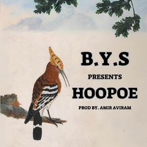 Hoopoe