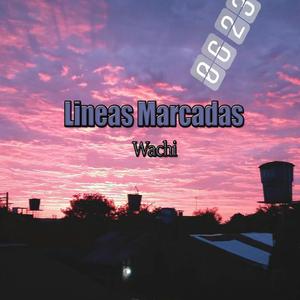 Lineas Marcadas