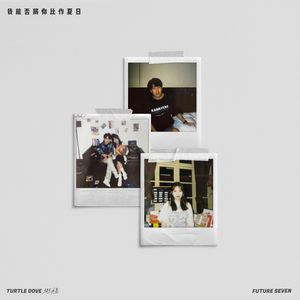 我能否将你比作夏日