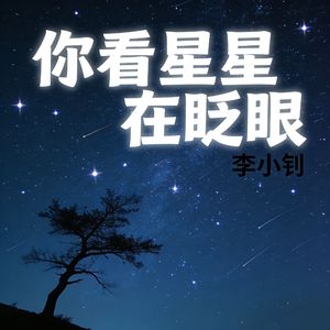 你看星星在眨眼