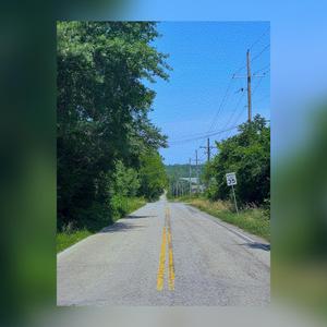 Despite All Feelings