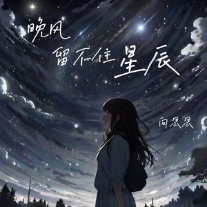 晚风留不住星辰