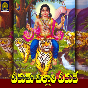 Veerudu Villali Veerudu