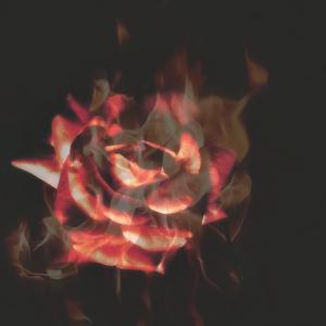 Move On (feat. Kbackwood$)