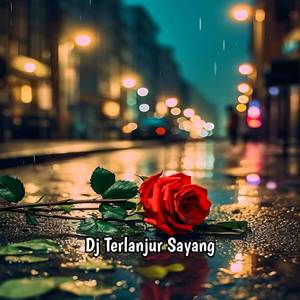 Dj Terlanjur Sayang Mengkane