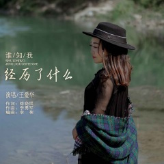 谁知我经历了什么 (DJ默涵版)