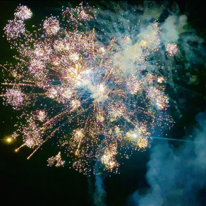 AniFace-夜、萤火虫和你（Lume remix）