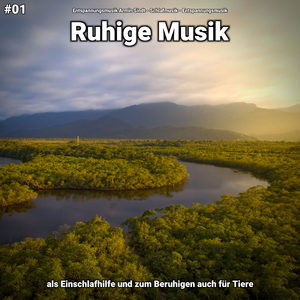 Ruhige Musik pt. 75