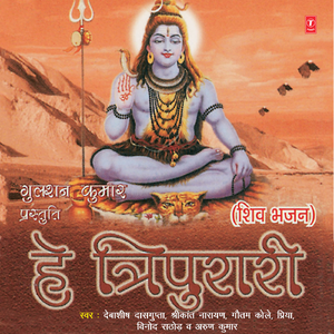 Tere Naam Hain Lakhon Kailashi