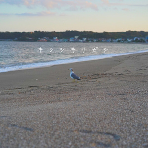 キミシキサガシ