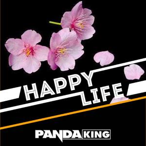 CrazyJIN-CrazyJIN - Sakura V2（PandaKING remix）