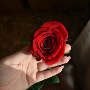 我就是爱上你了