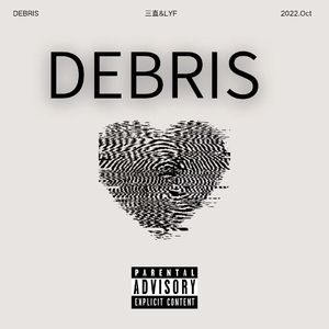 DEBRIS