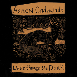 Wade Through the Dark