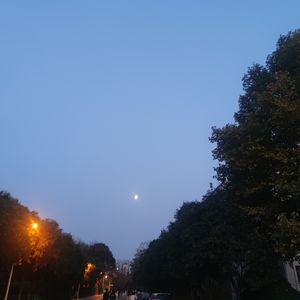 多年以后再次回到班级