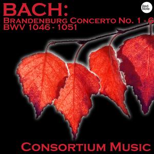 Brandenburg Concerto No. 2 in F major, BWV 1047: II. Andante