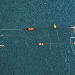 Feels So Right (Tilman's Sure Thing Mix)