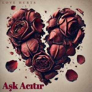 Aşk Acıtır (Love Hurts)