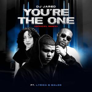 You're The One (feat. Maloo & Lyicah) (Official Remix)