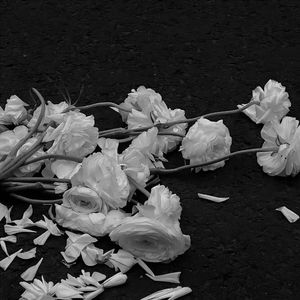 我想只要让你一个人不孤独就好（伴奏）