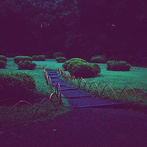 柔和的东京时刻