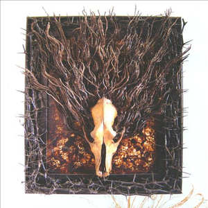 When Seven Showed Their FaceReprise