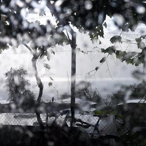 Eines wünsch' ich mir